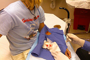 graphic image of dog bite